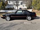 Thumbnail Photo 20 for 1988 Ford Mustang